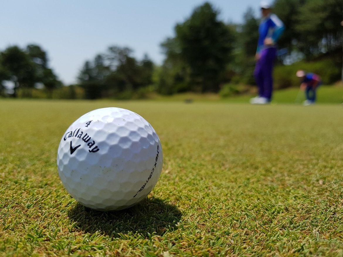 Top Choices in Golf Putters for Beginners