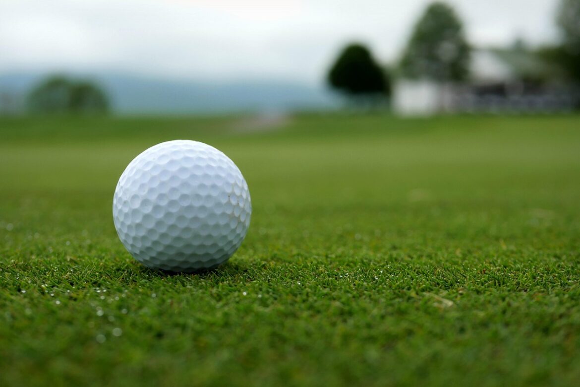 Paw-fect Greens: Exploring the Top Dog-Friendly Golf Courses